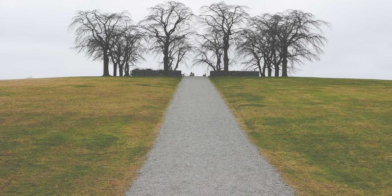 海外房产投资如何规避汇率波动风险？三大策略实现身份、资产双保险