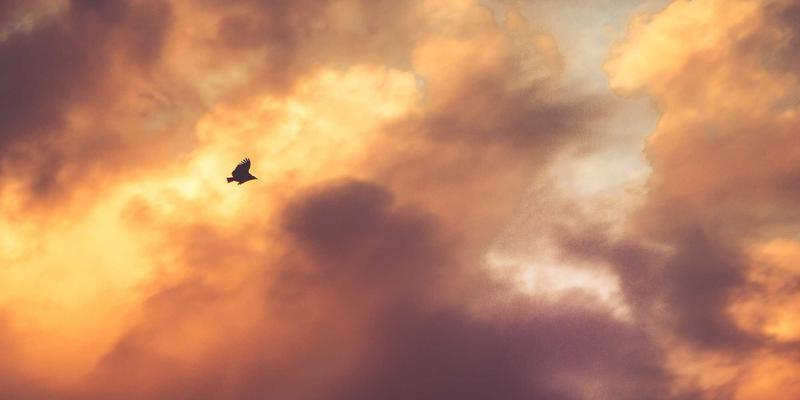 移民规划与海外置业新趋势:如何实现无忧远程房产管理?