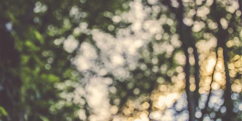 穿越时空的财富：解锁海外历史建筑投资的修复补贴、税务杠杆与永恒价值