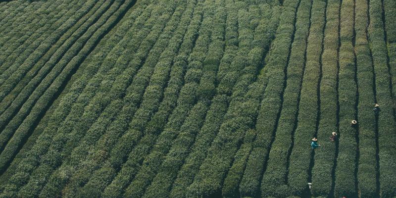退休养老海外房产终极指南:诺布尔里德与热门目的地深度比较